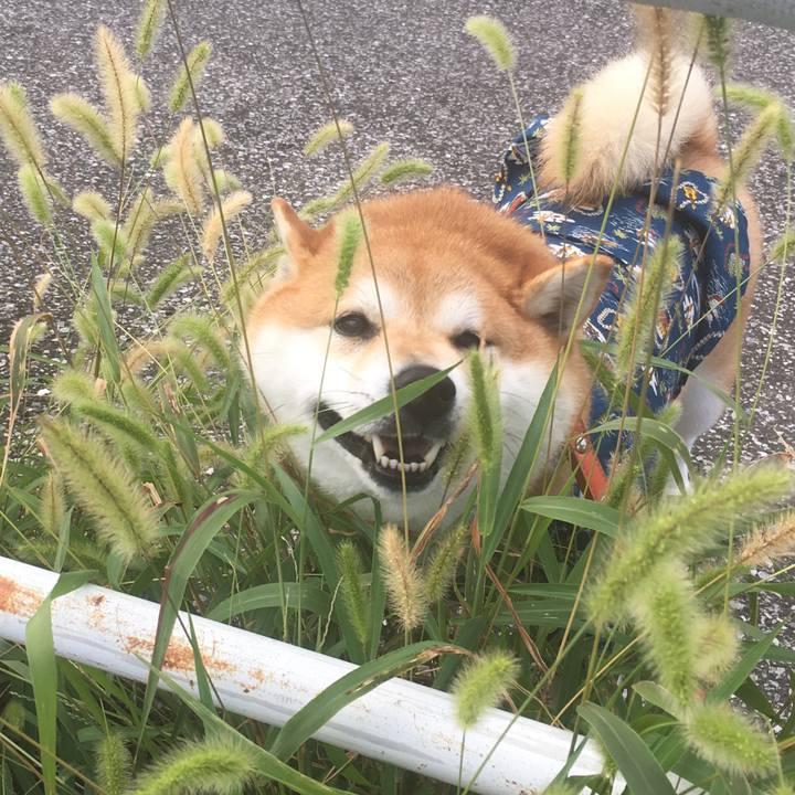 Dc2911c1 5b97 47e4 9613 dfd175e898fb 1565740111672