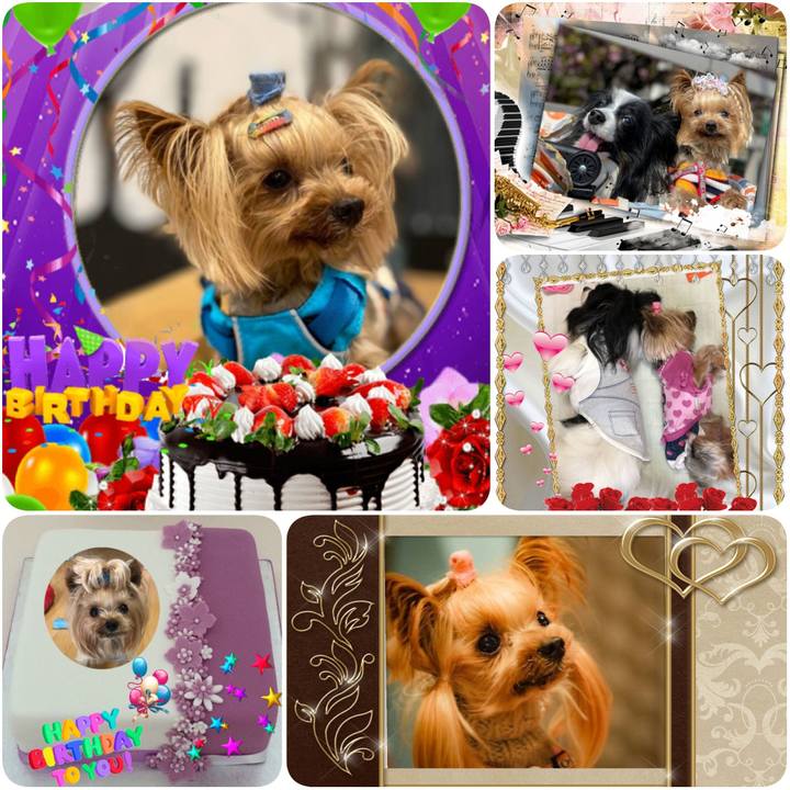 Dc292d70 142c 44e9 9c97 9167503012d2 1591212947721