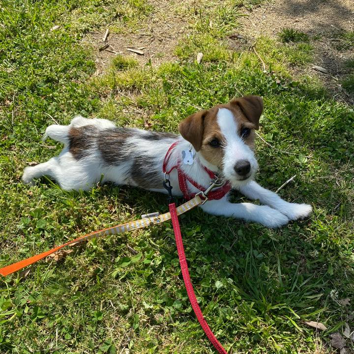 Dc294514 85d0 4621 96c3 7d595a8d9915 1618139448356