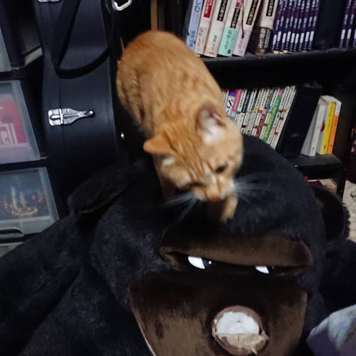 Dc294643 f9c8 4d4a 99f5 e10d450760f8 1650573577169