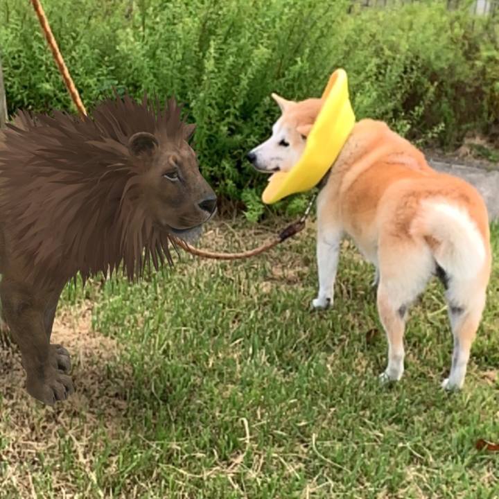 Dc2947ec 6516 47a6 a573 57435005680d 1569844133342