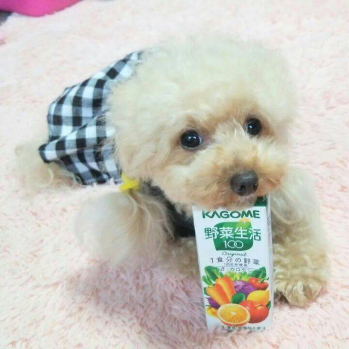 Dc29689f a467 4dd0 b85f a679c0bdd9b1 1538713586654