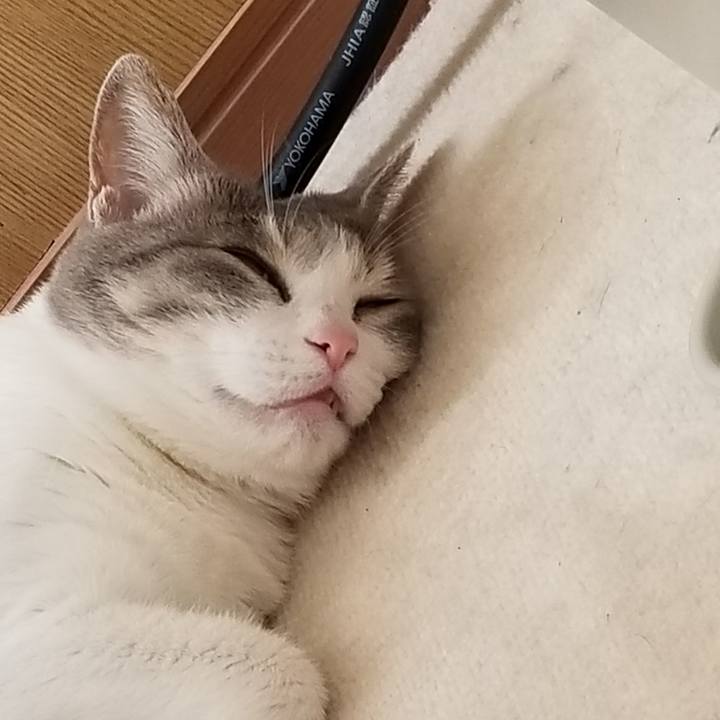 Dc29cbbd d8ad 4d23 a8d9 8824b7045925 1615271281162