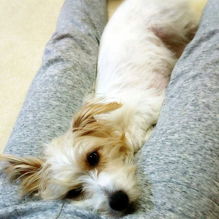 Dc29ed0c bb83 4807 a741 be6a4a7b9ee4 1517668139212