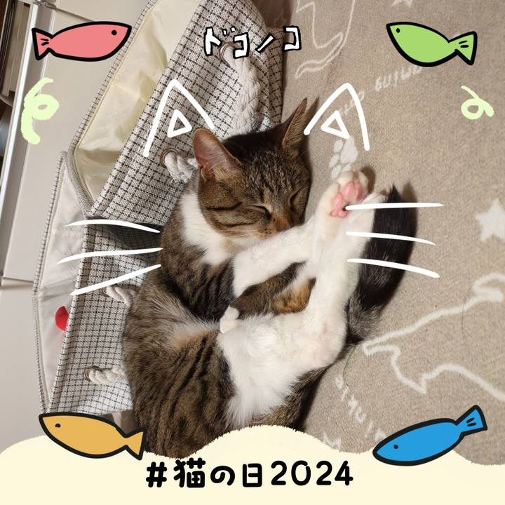 Dc29fa1e 03d7 4c7a bc71 2d82a08bf8e6 1708607150037