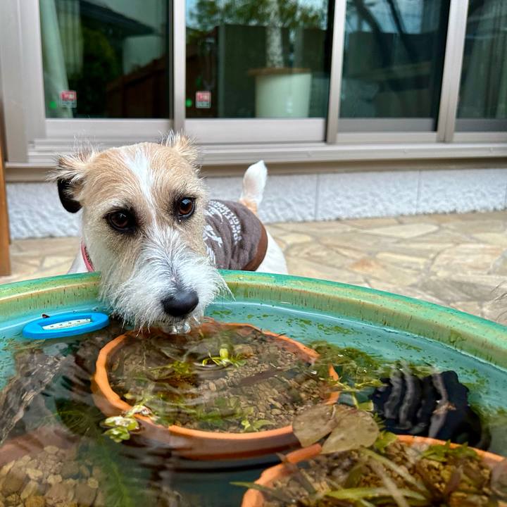 Dc2a0e3e 455e 4855 9a80 d59c033dde0a 1708232168064