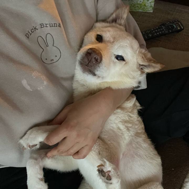 Dc2a230d 48a0 419b a93a a775fb57df35 1673598268484