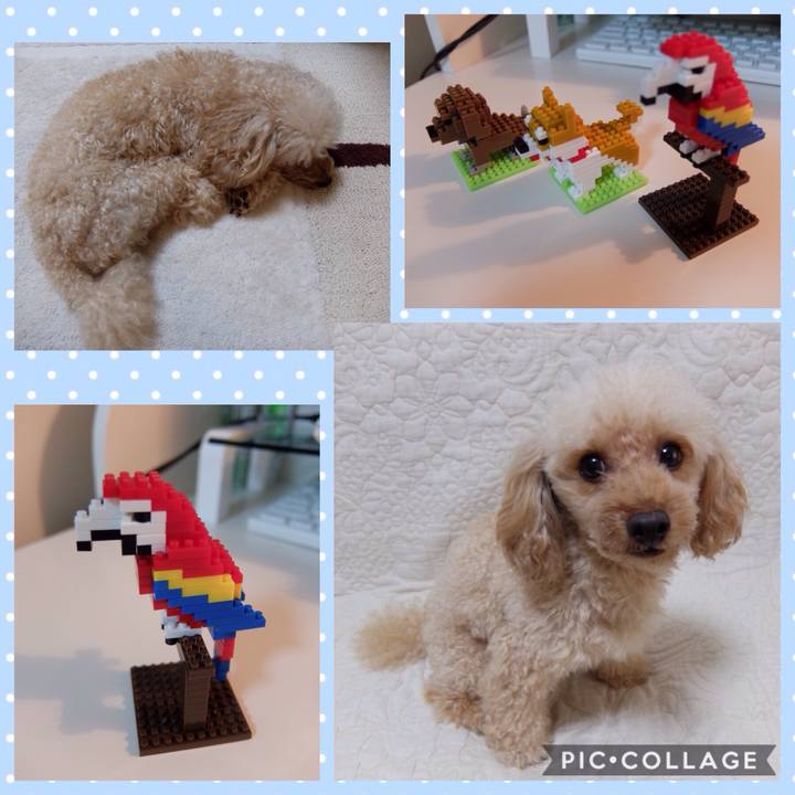 Dc2a5067 0fc0 4c82 afc4 f1a3c895b193 1538278239571