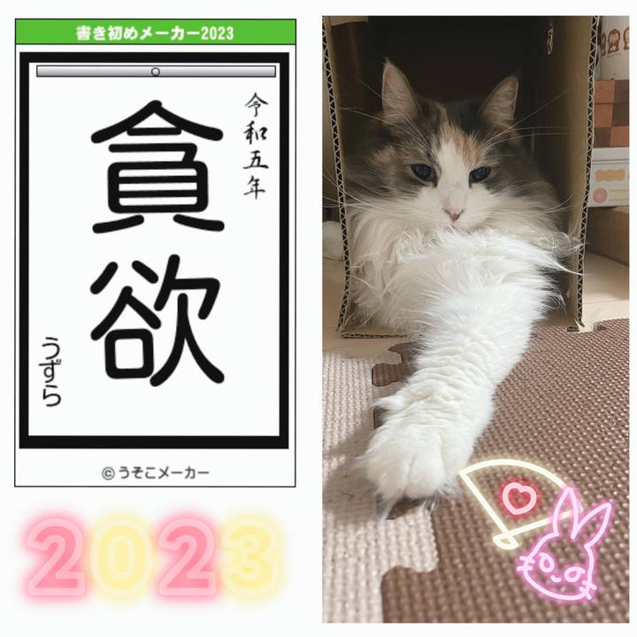 Dc2a5394 92d7 4806 a3e5 61ba449608ba 1672919699482