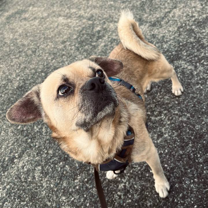 Dc2a5d76 a27b 4419 9380 6310f69f150b 1764577809695