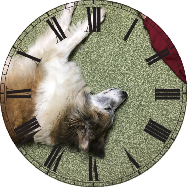 Dc2a61f1 9102 464f 8881 ce62bb5c3ef1 1516515309562