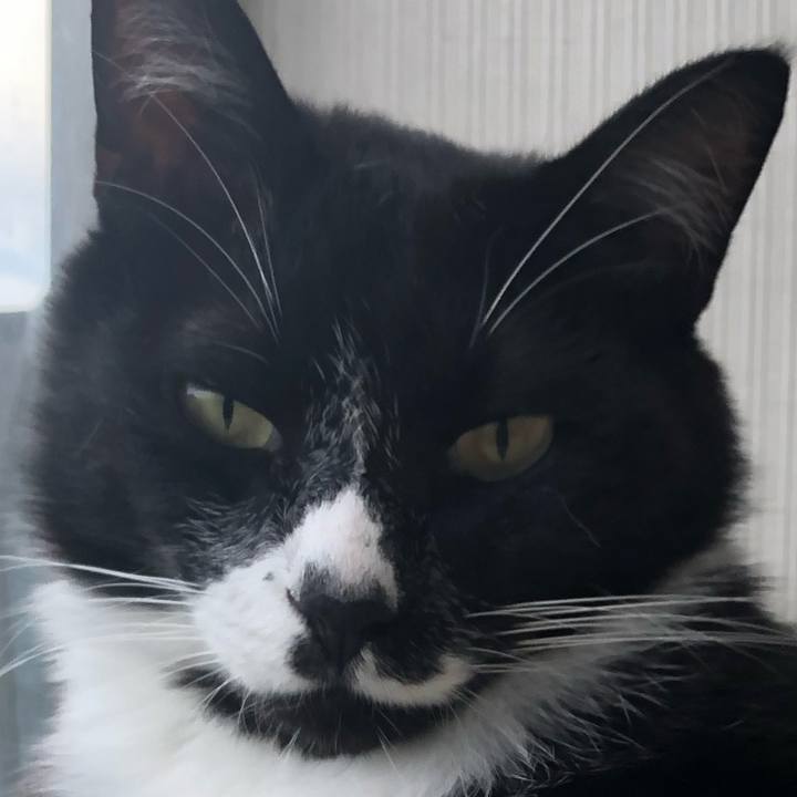 Dc2abea4 48eb 4cc9 b7e2 865d324a0a89 1662176963274