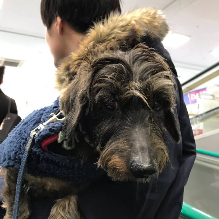 Dc2ae3bd d86d 4138 ae1a 76f7b842cf00 1544341980144