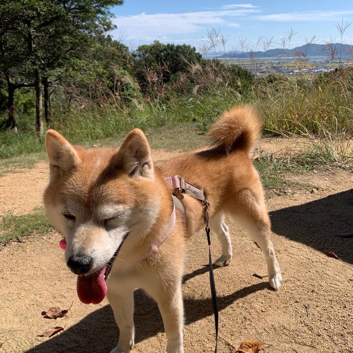 Dc2b0734 75cc 4ff6 b5d6 50417472972e 1697263161335