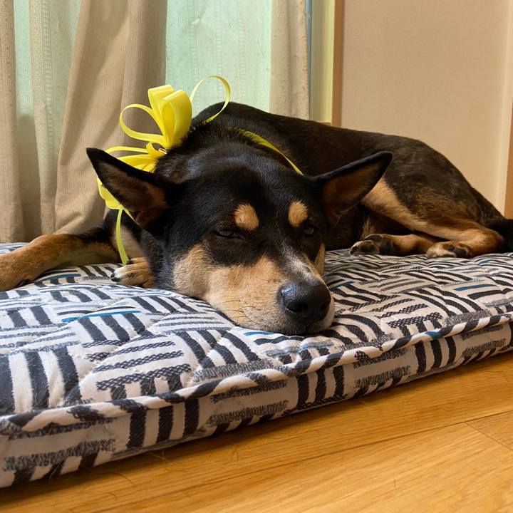 Dc2b2194 7a51 4738 b58d f7fa7d566491 1601868220670