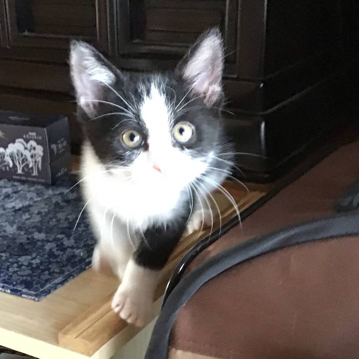 Dc2b5670 f6d2 473a 85a7 fb6dadc64122 1624857186857