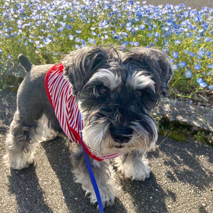 Dc2b62c6 eb42 4064 9033 2a520d4774a8 1714912931703