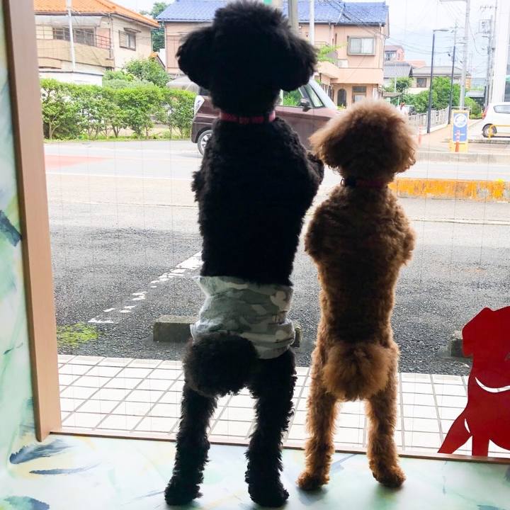 Dc2b809a 6fc7 44fe 95da 67aacbe1e8e5 1595199072747