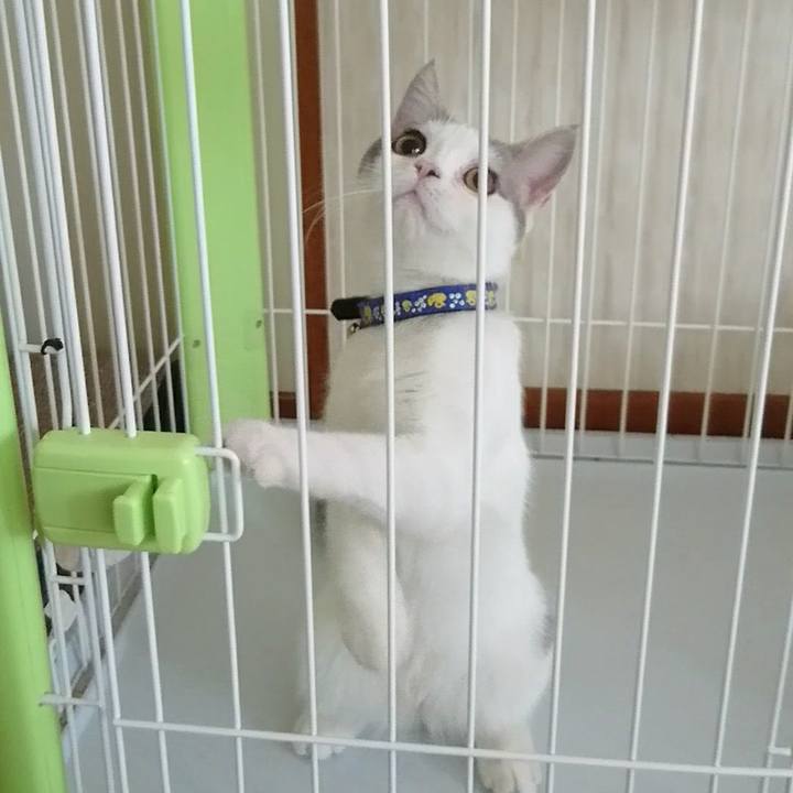 Dc2b8885 1431 4ab1 a50a a4a5fa199f47 1538522000698