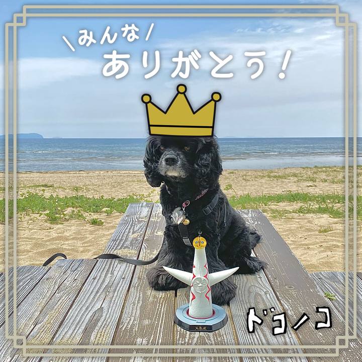 Dc2c474d 8fdf 42d0 ad76 1c8e26874c57 1622889514811