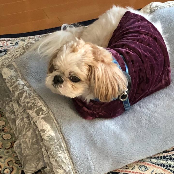 Dc2c5d95 fad1 4a47 a3e7 5a550fb1054a 1540688078305