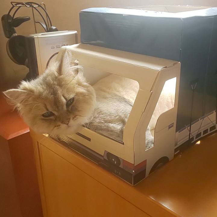 Dc2c8e55 0dc9 411f b722 7d253b55bc2f 1591926589838