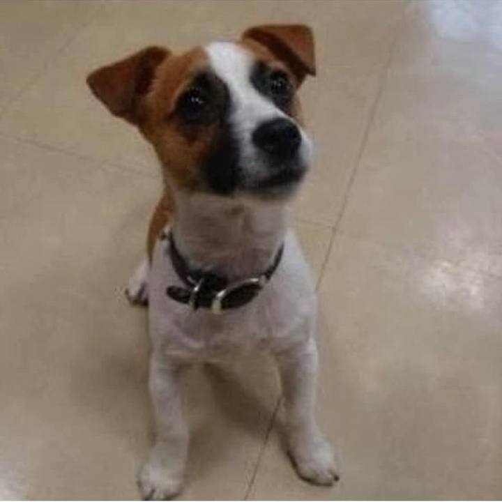 Dc2c907b c734 4612 9596 0cbb9d2fc873 1730241947763