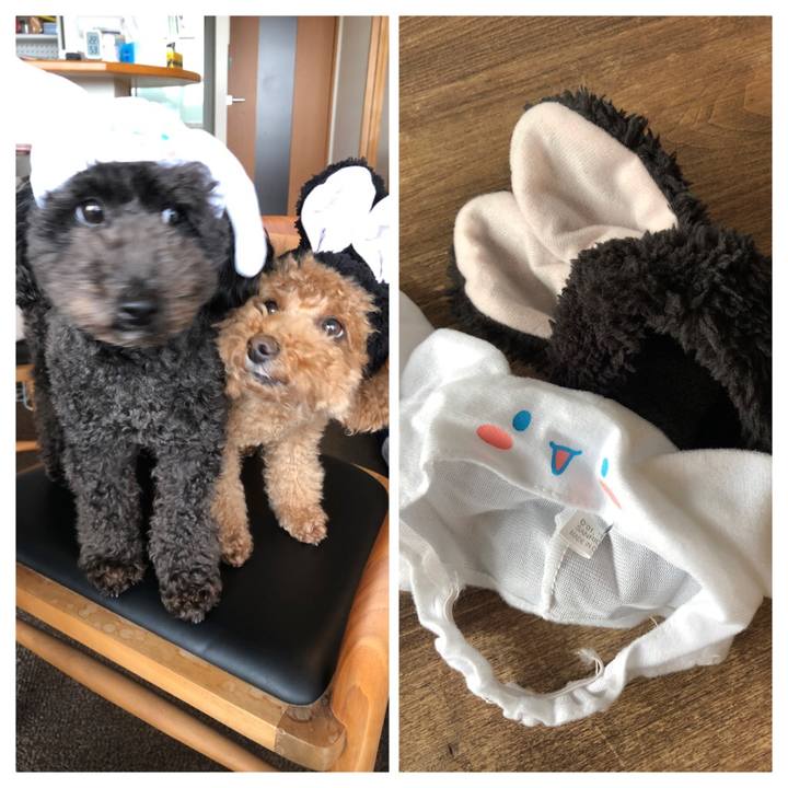 Dc2c91a0 40ad 4be9 ad4f c8c5116a058a 1583826626148