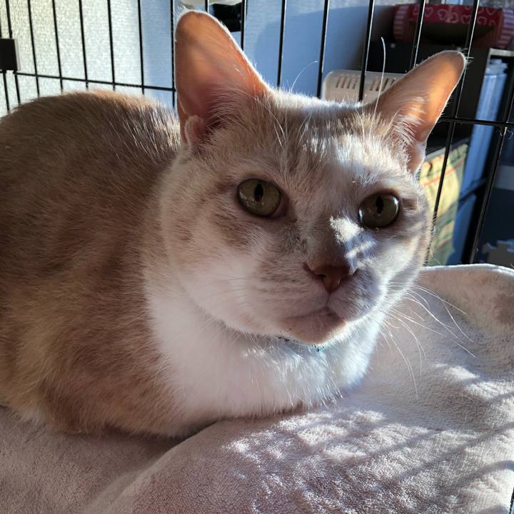 Dc2cb6ad 2b2a 42ca 9958 89476f06f6ce 1612132381202