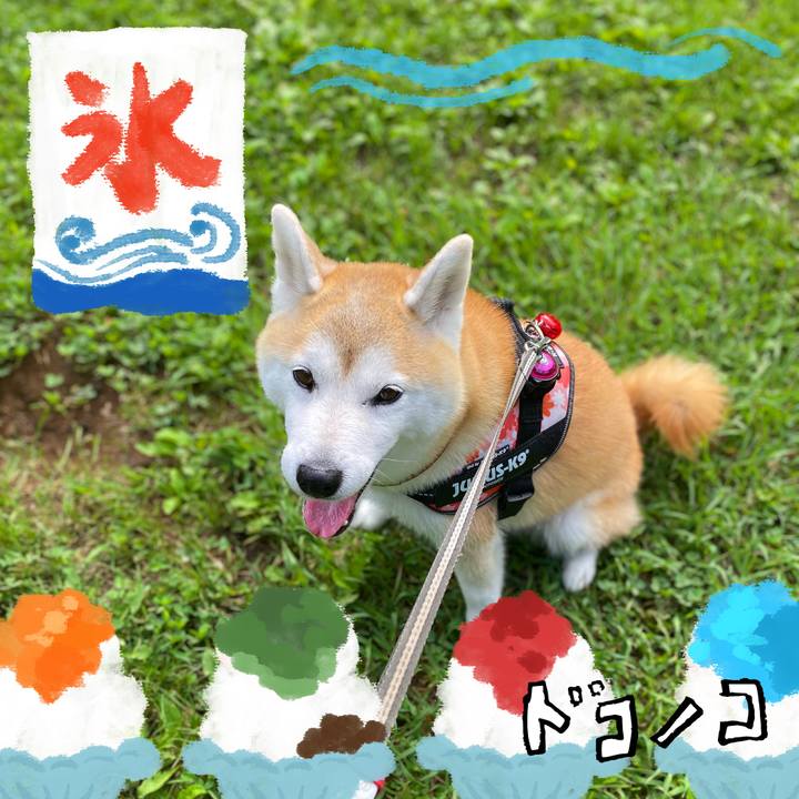 Dc2cdbd7 f275 4ae0 9176 774e965bb497 1723203318087