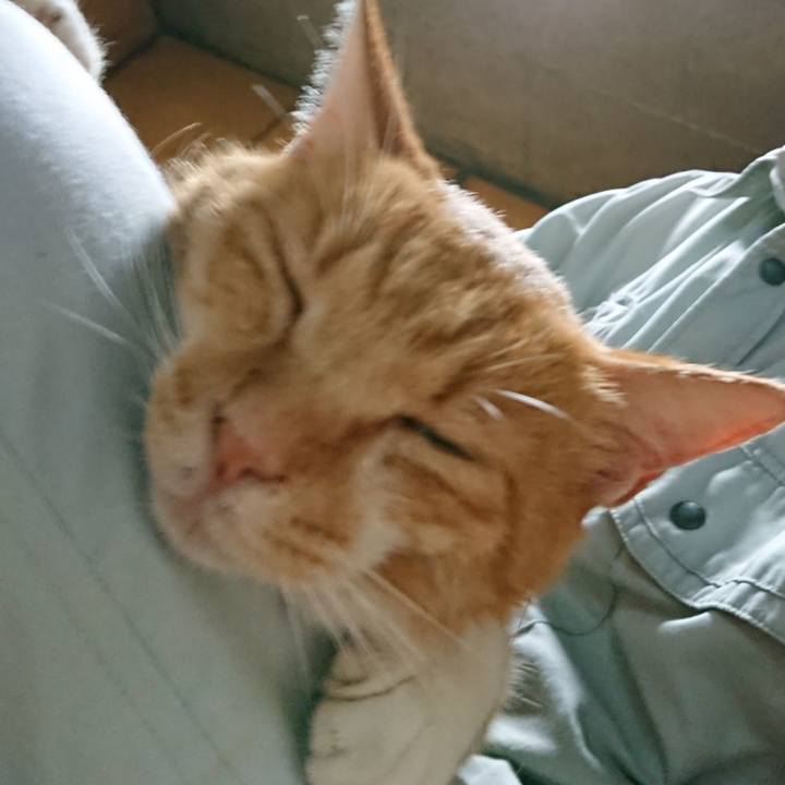 Dc2d085d 6488 468a 92bd 1d6a7b8c68c8 1597700855523