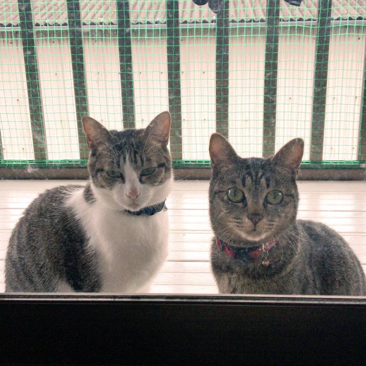 Dc2d1b0b a68e 4f42 827e 761260380fb6 1512047411990