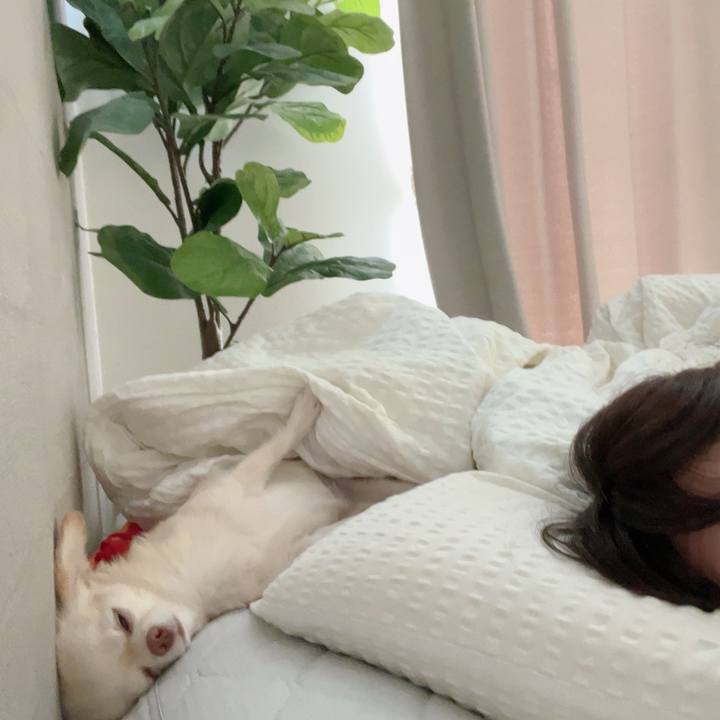 Dc2d50b6 93ae 4989 bdf2 075f849bb8a8 1725857393351