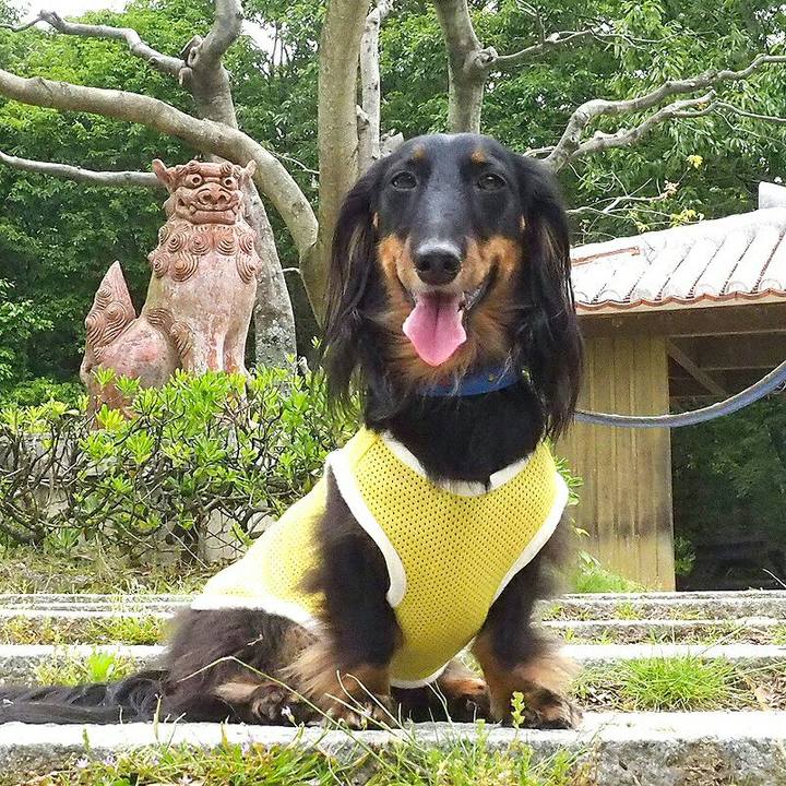 Dc2d5636 c9dd 4d3c 9f34 e4b24d0c9c8b 1527313997172