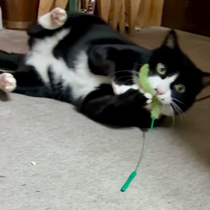 Dc2d7fac d280 4019 83a3 04aaabbf8701 1770031706021