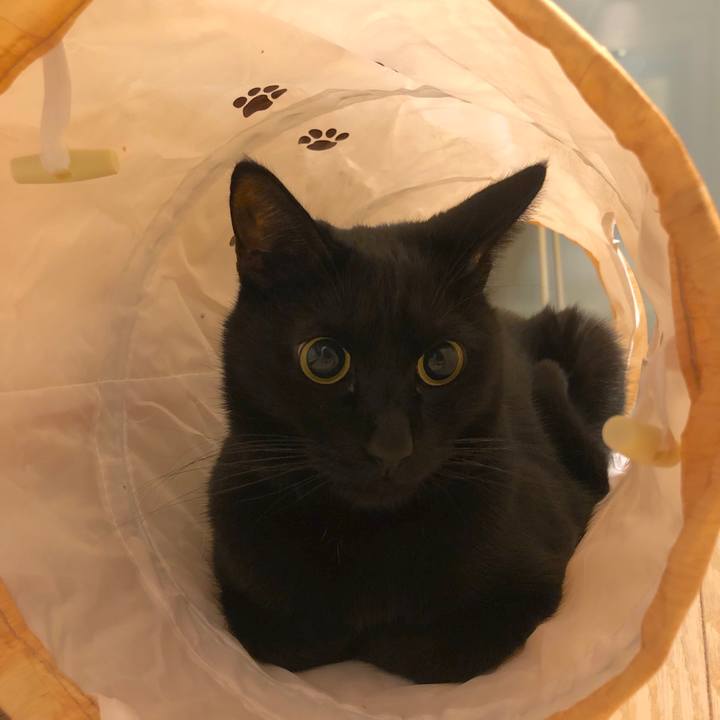 Dc2d9637 146d 4e91 a67d 54eada9306fa 1548333729650