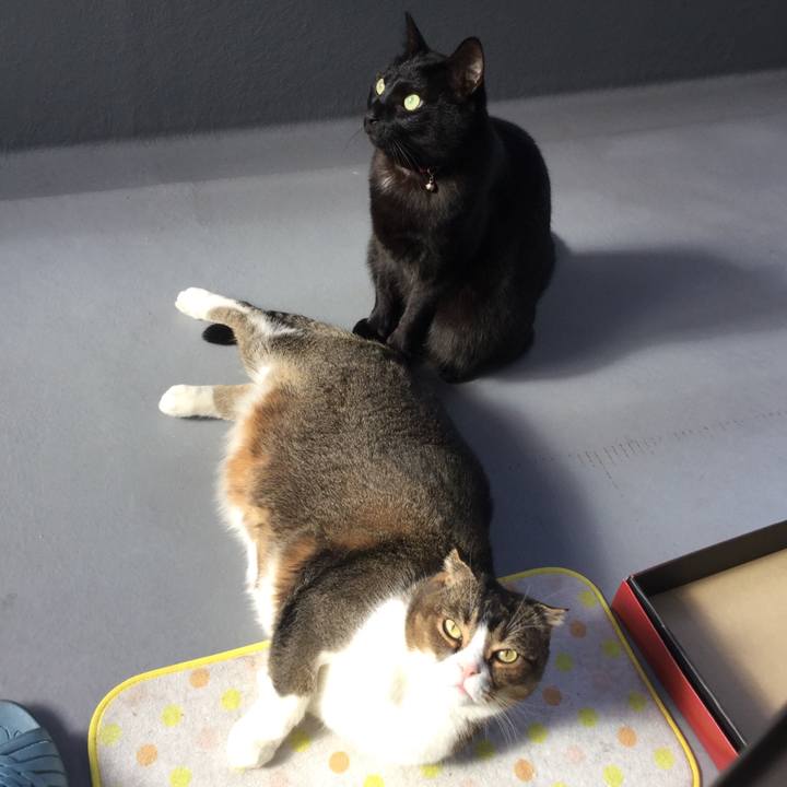 Dc2dbfe7 afdb 4bf7 b036 27ccf212a3d5 1547871164584