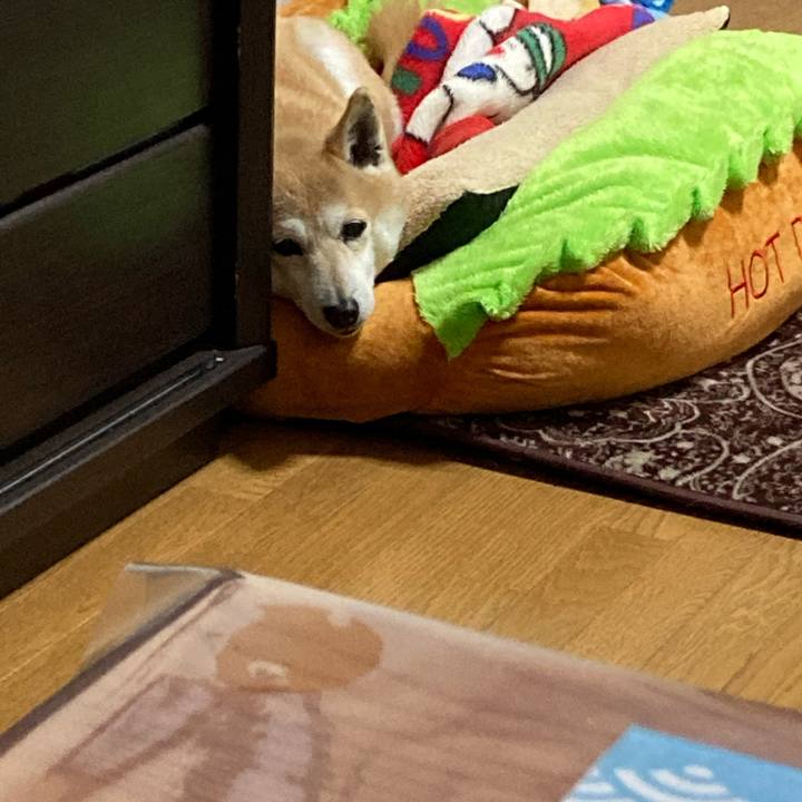 Dc2dd437 1fab 4095 b9c9 e51d1cdb63a1 1614174912692