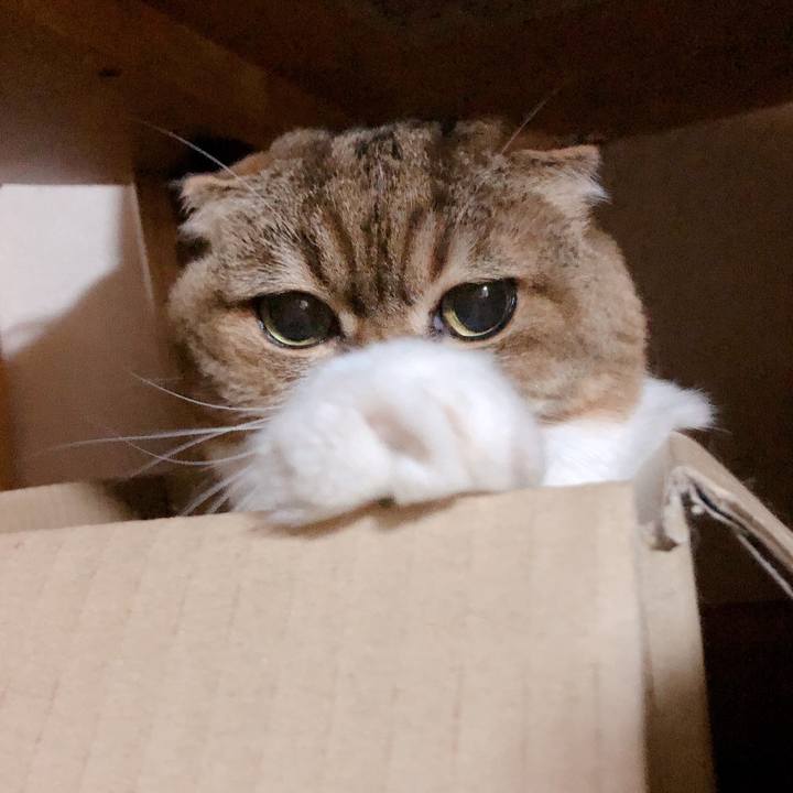 Dc2de38f b796 4300 806d 844c2f159631 1565530544932