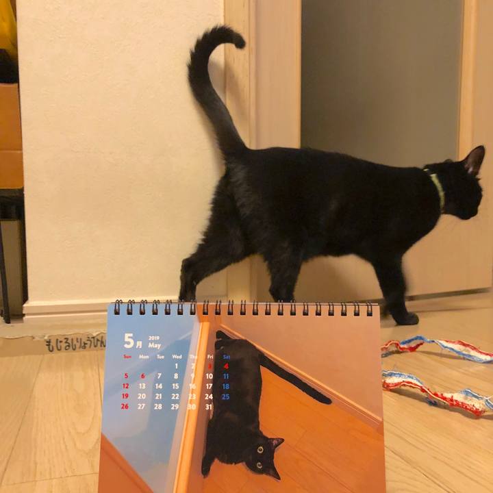 Dc2dec90 8234 46eb 841a f7e9487fa4b1 1556713772311