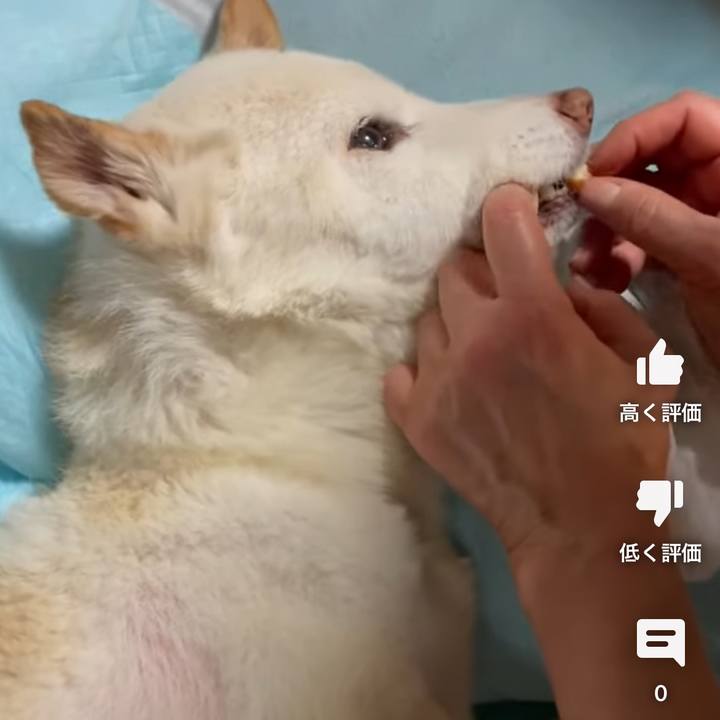 Dc2e502d 40e4 4d22 954d cbc70ddedc45 1680608151955