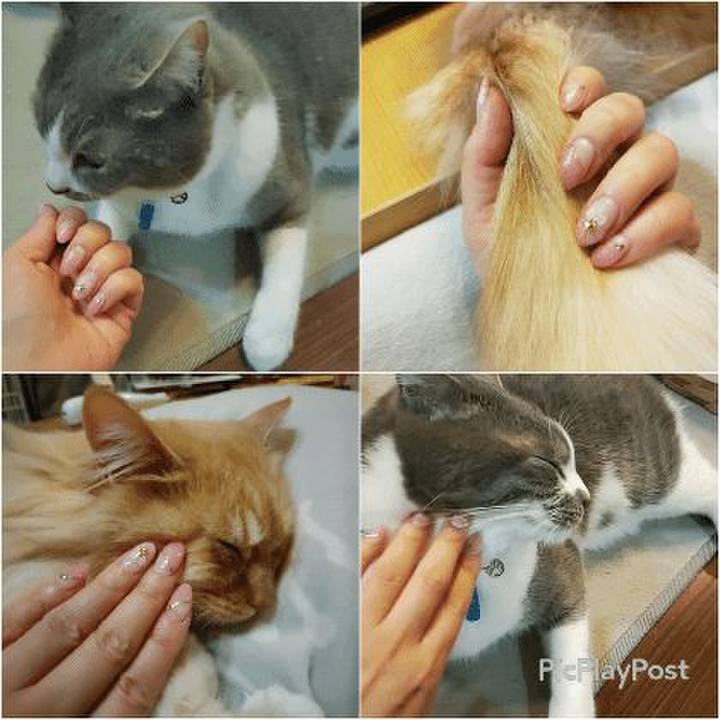 Dc2e54cc dd45 4ffa b975 ea8cca14ab9d 1677324323090