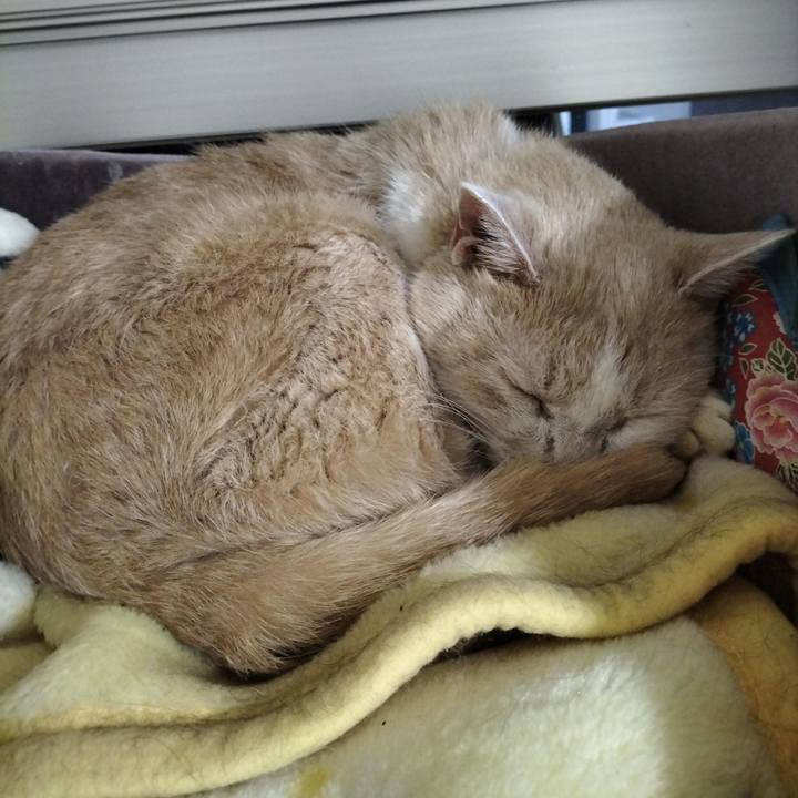 Dc2e5dec e1d9 491f b69b 53fb9e7b83c2 1695473305959