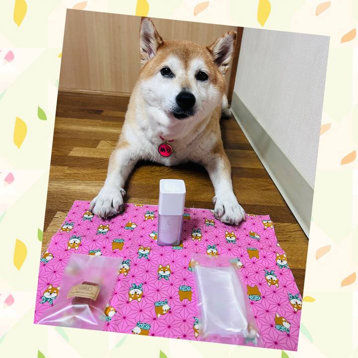 Dc2e6955 ca5a 441c 9f0d 58149b0a6329 1727337641429