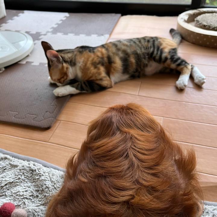 Dc2e6ce8 060d 4f46 ae62 c124893146f6 1666564452620