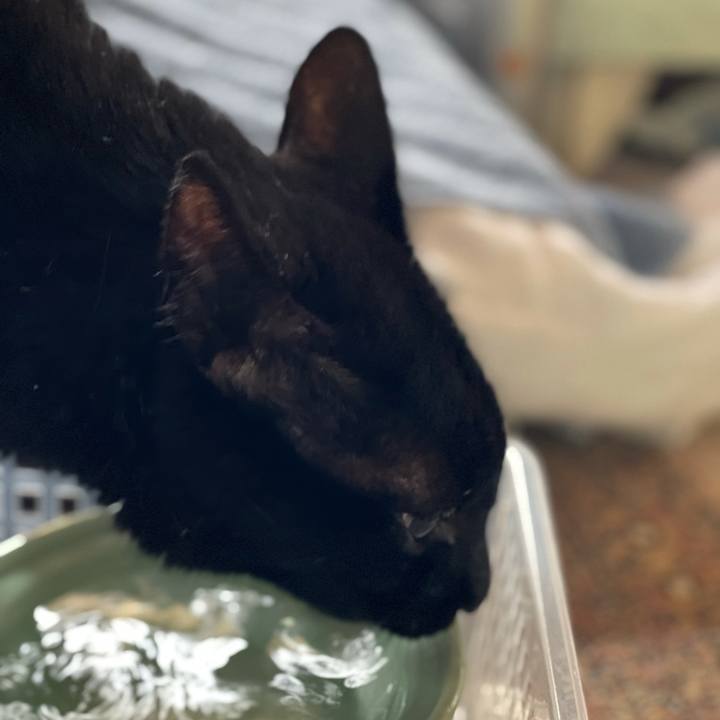 Dc2e7b43 371d 4872 999e 86fca025be1e 1631323853183