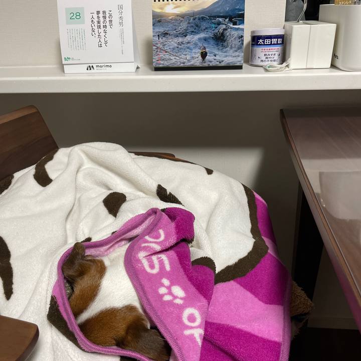 Dc2e8b91 07b3 4049 b7e9 1c7e17711662 1643361802660