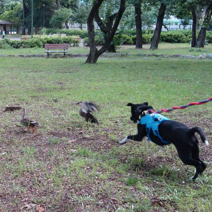 Dc2ebdec d6f7 4f9b a814 7591d7298635 1622544217994