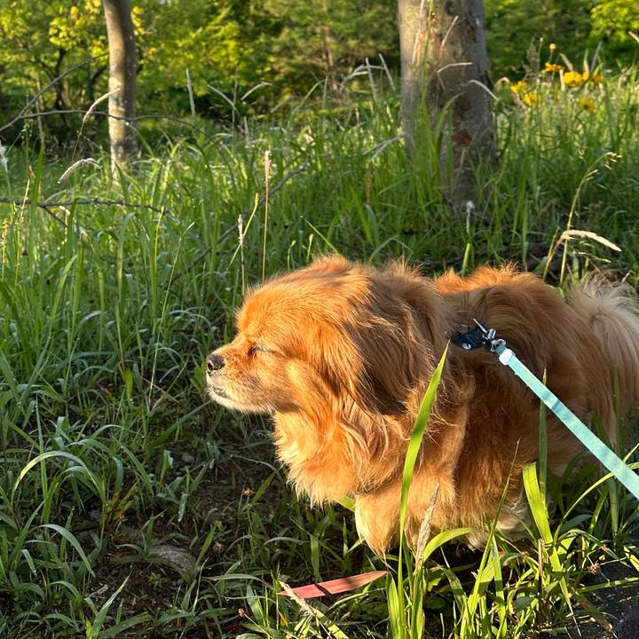 Dc2eca69 4699 49a7 aaeb 73f94bf73c8e 1684194216864