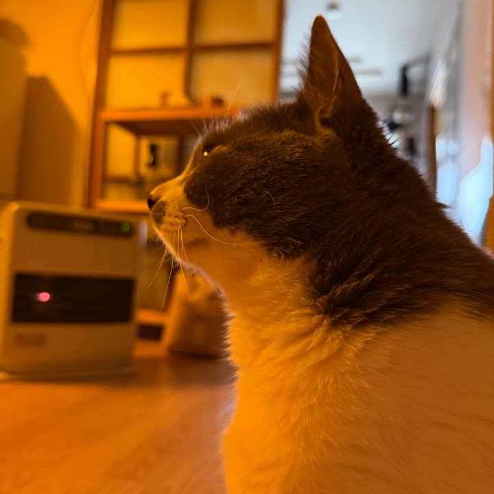 Dc2ef09a aa34 4201 a737 6cc595f7bd1c 1770424004311